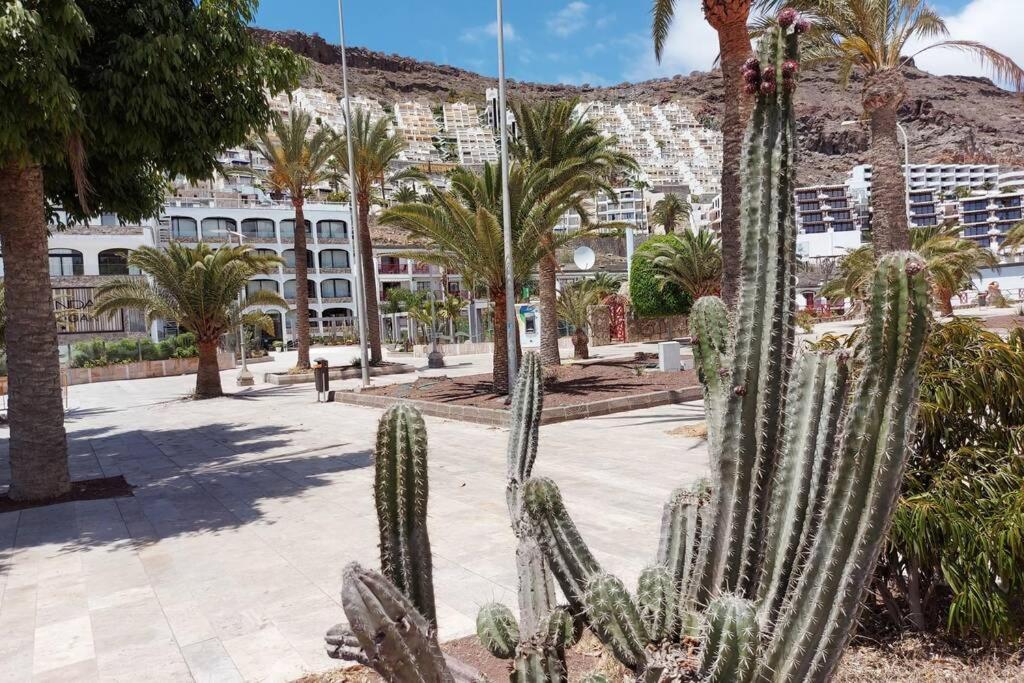 Ertel Suite Monte Golf-Vista Mar Playa Del Cura  Exterior photo